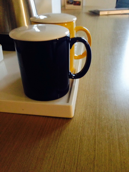 佳音杯全国儿童英语演讲比赛上海复赛