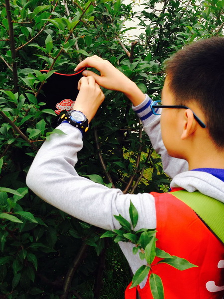 佳音杯全国儿童英语演讲比赛上海复赛