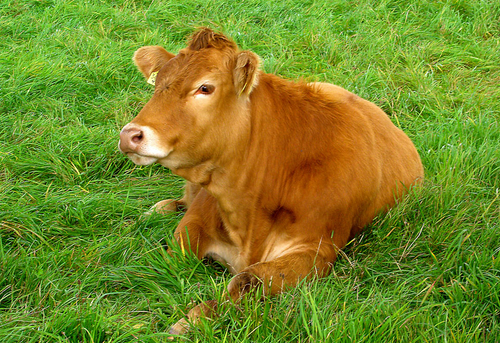 【周末趣闻】小故事背后的大智慧