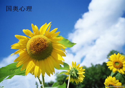 激励人生积极向上的80条人生格言