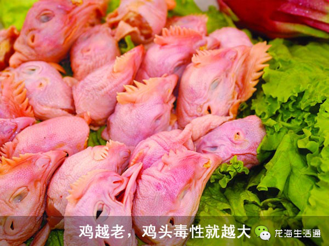 十年鸡头胜砒霜 8种肉类最要命!